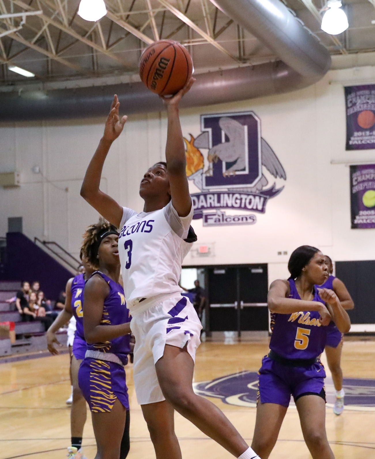Wilson at Darlington Basketball